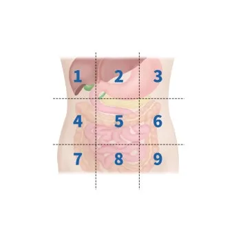 배를 콕콕 찌르는 통증의 8가지 원인 하는법 알아보기로 정리_4
