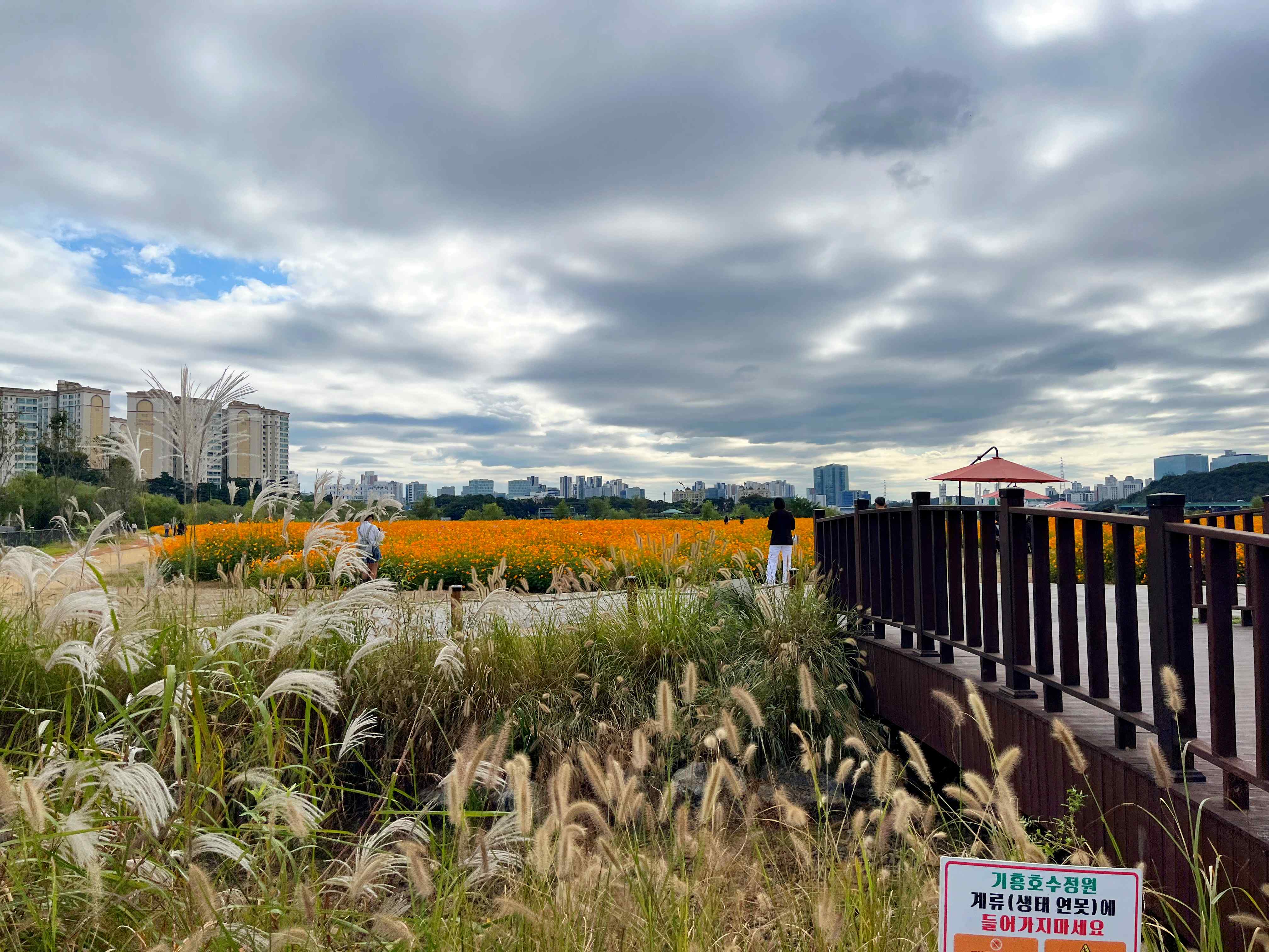 용인 기흥 호수공원