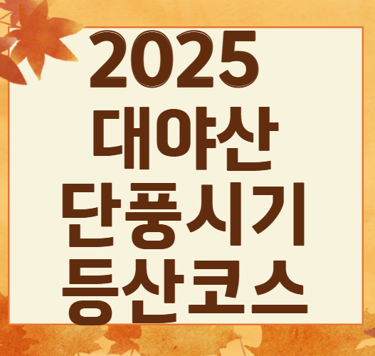 2025 대야산 단풍 절정은 언제? BEST 코스·포토존 완전 정리