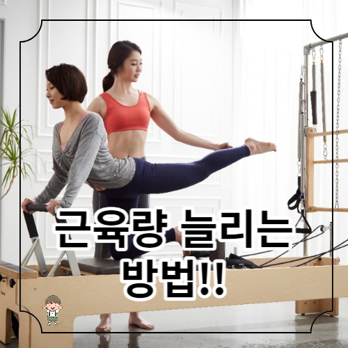 근육량을 늘리는 방법