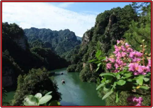 푸른-삼림과-야생화가-활짝-핀-보봉호