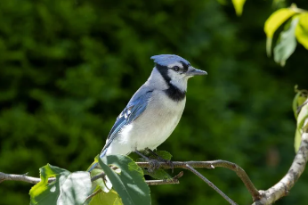 에너지 바우처 잔액조회 완벽 정리 11