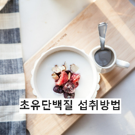 초유단백질 섭취방법