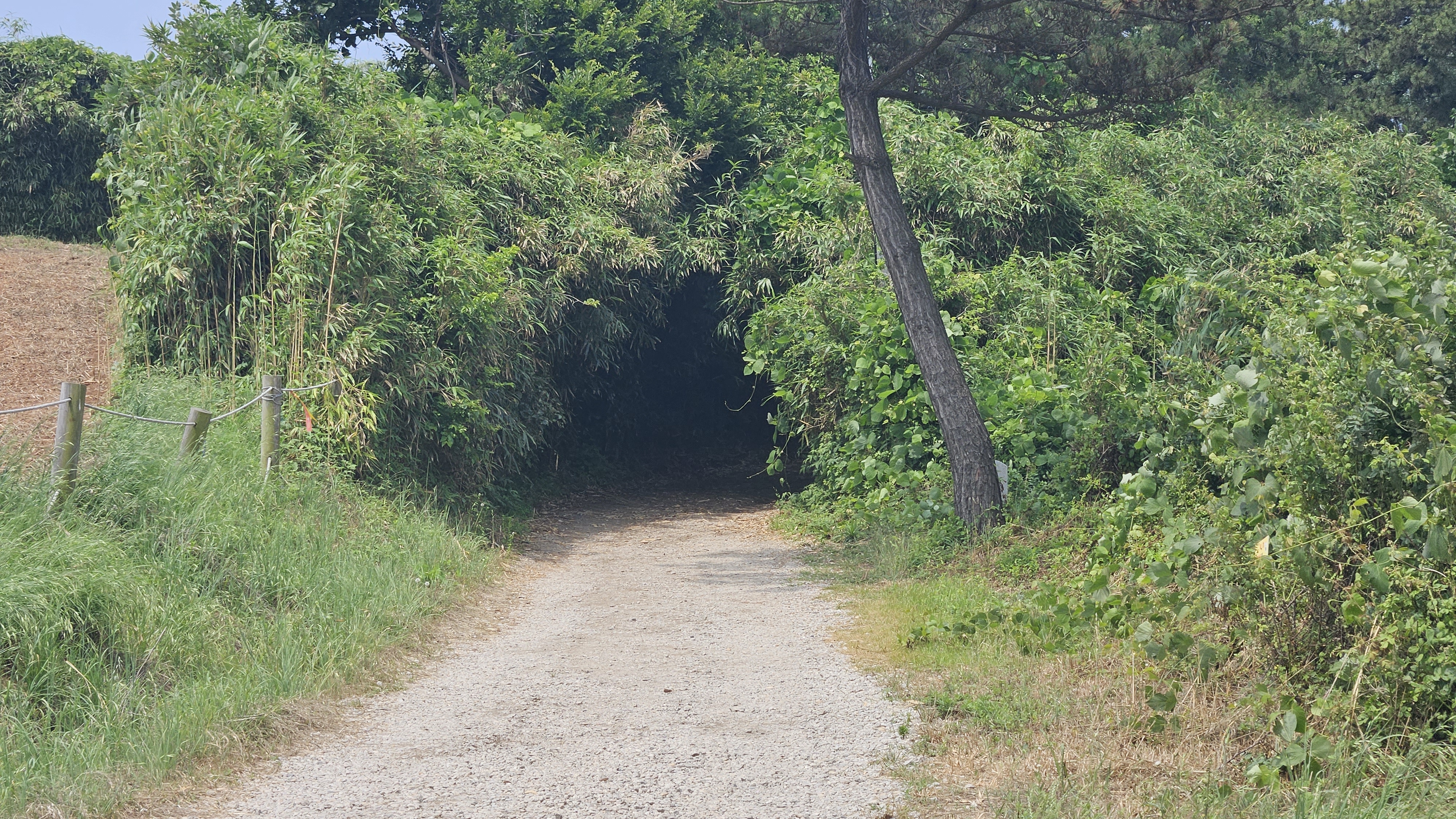 수성당 가는 길