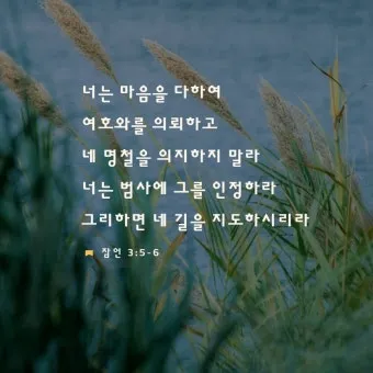 잠언 31장 25절 읽기 - 능력과 존귀로 옷을 삼고 후일을 웃으며_14