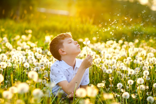 민들레-홀씨를-부는-아이