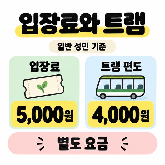 일반 성인 입장료 5,000원과 트램 편도 4,000원이 별도 요금임을 나란히 보여주는 비교 도식