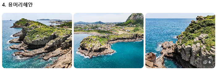 제주 쏠라티&middot;카니발 투어 비교! 기사 포함 제주 승합차투어 요금&middot;코스&middot;후기 총정리