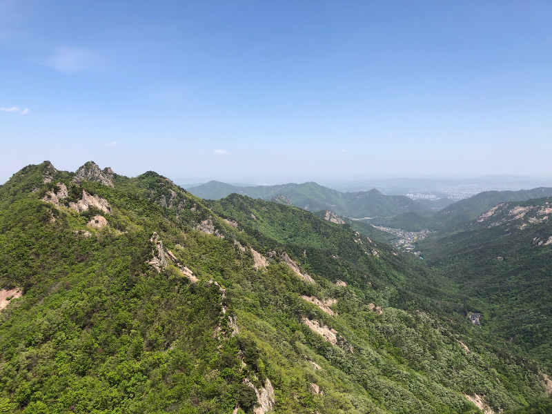 여름 계룡산의 전경