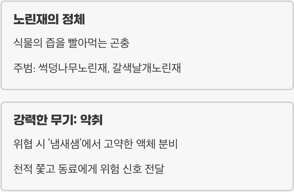 1. 이 냄새나는 벌레&amp;#44; 정체는?