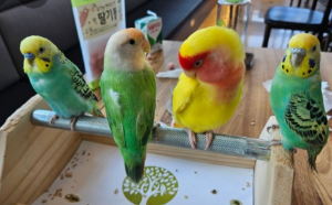 하남 미사 놀거리 BEST 10