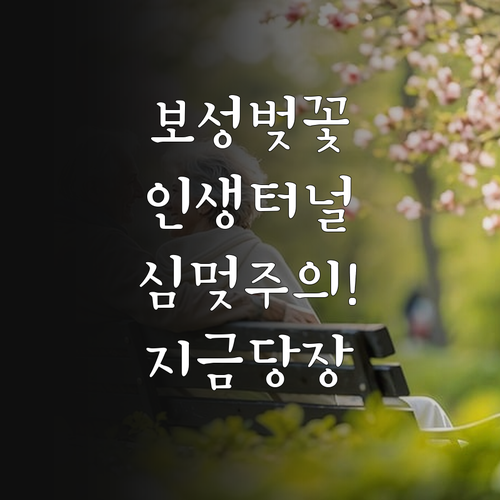 보성 대원사 왕벚나무 터널 드라이브 ..