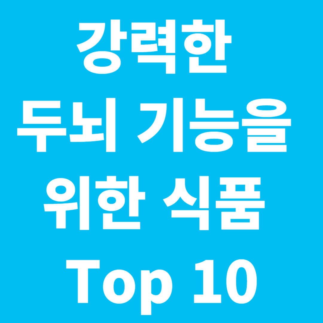 강력한 두뇌 기능을 위한 식품 Top 10
