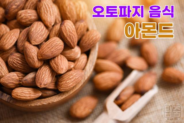 오토파지 단식 다이어트 오토파지 음식 아몬드