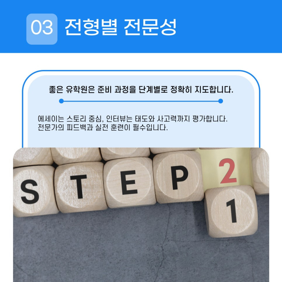 에세이·인터뷰 전문성을 갖추었는지