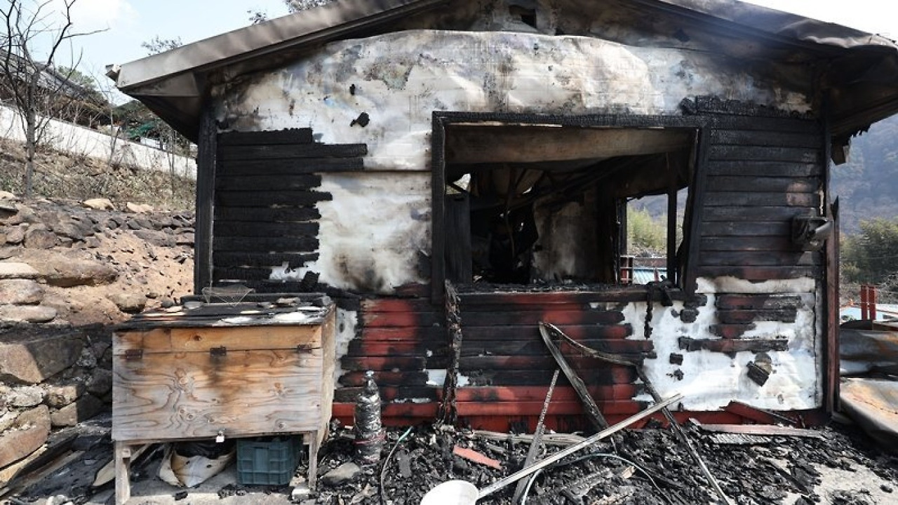 삶의 모든 것을 앗아간 대형 산불