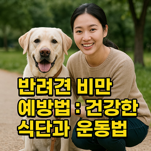 반려견-비만-예방법-건강한-식단과-운동법