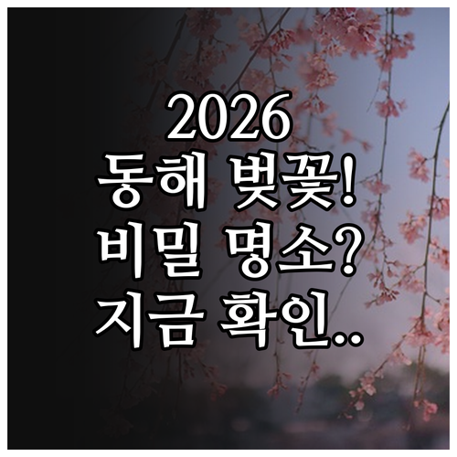 2026 동해 벚꽃 축제 시기 명소별..