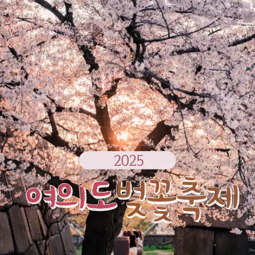2025 여의도 벚꽃축제