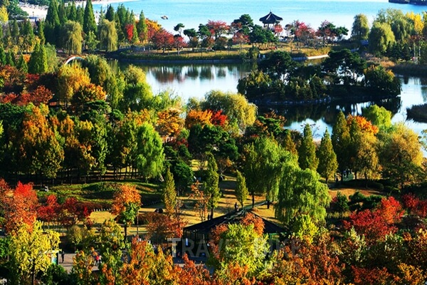 일산 호수 공원 (경기도)