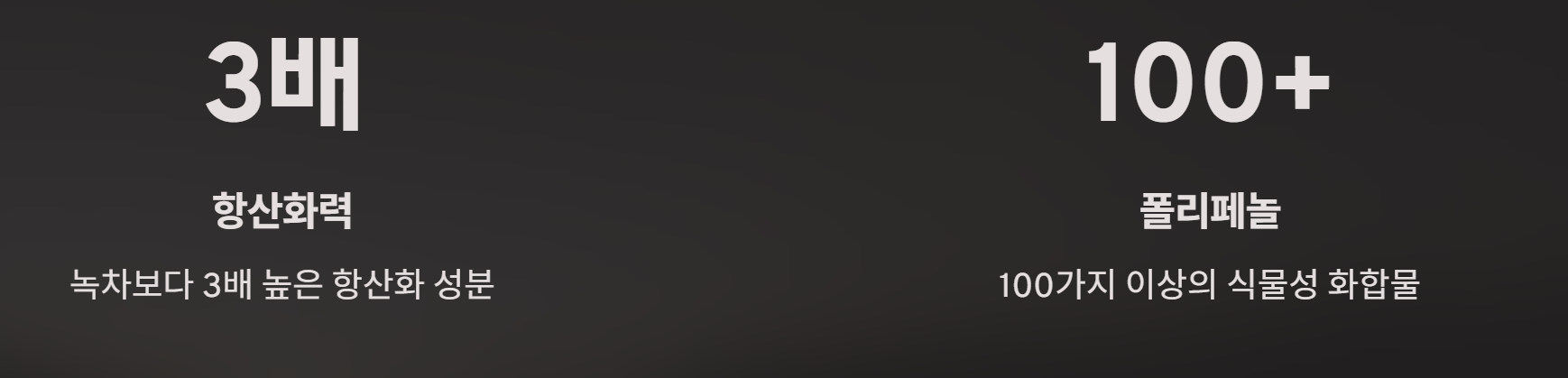 석류 항산화력 - 사진