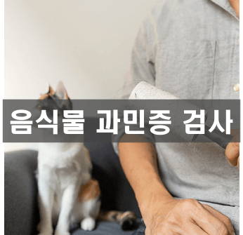 음식물 과민증 검사