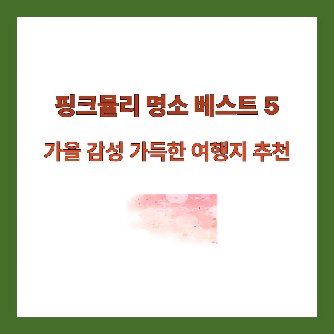 핑크뮬리 명소