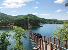 파주 가볼만한곳 베스트: 미장호수 출렁다리