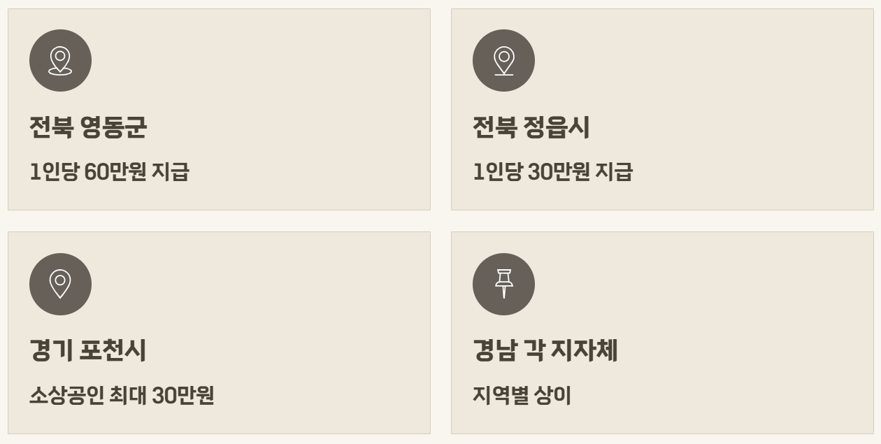 2026년 3차 민생지원금