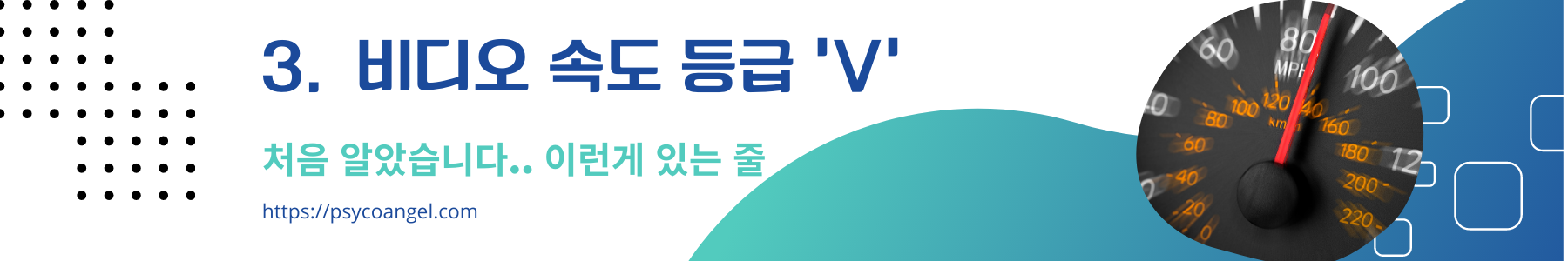 비디오 속도 등급