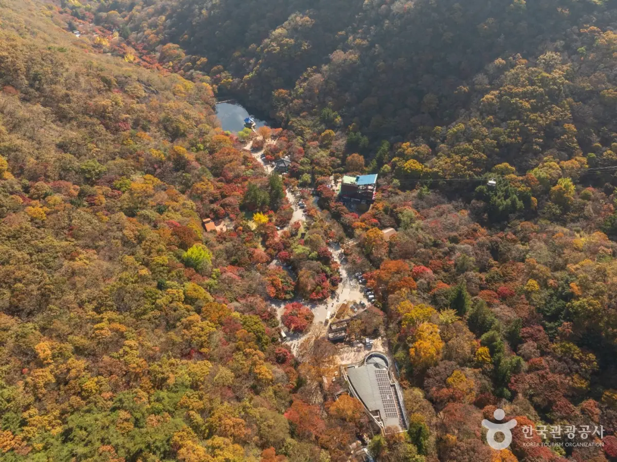 내장산 단풍 절정시기