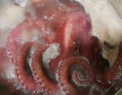 문어삶는법 제대로 알기