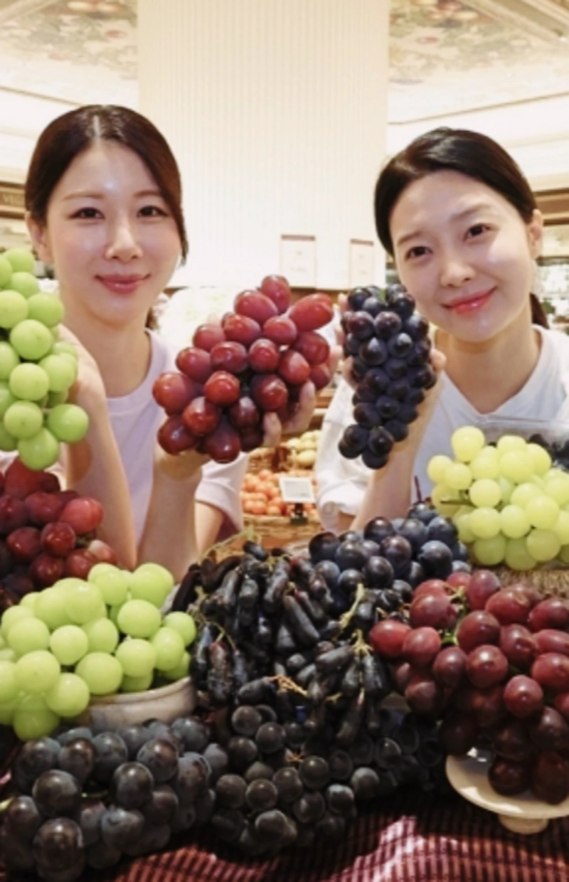 로얄바인 포도 후기, 로얄바인 명품과일 가격, 로얄바인 프리미엄 포도 구매, 로얄바인 선물세트, 프리미엄 과일 수익성 작물, 부자과일 인기순위, 고소득층 과일 추천, 신세계백화점 로얄바인, 명절 고급 과일 선물, 클럽재배 과일 뜻, 명품 과일, 프리미엄 포도, 농가 수익성 작물, 프리미엄 과일 투자, 백화점 과일 선물세트, 추석 과일 선물 추천