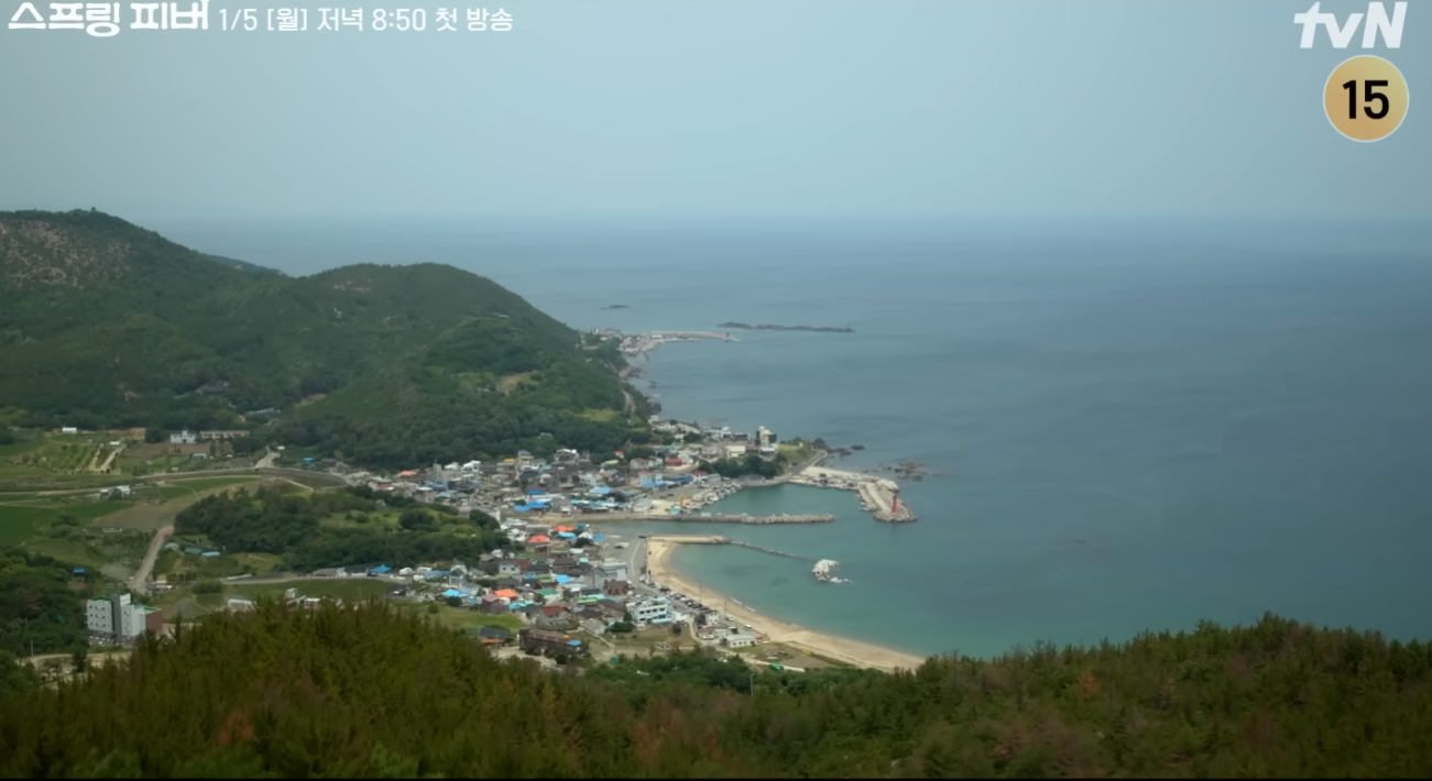 스프링 피버