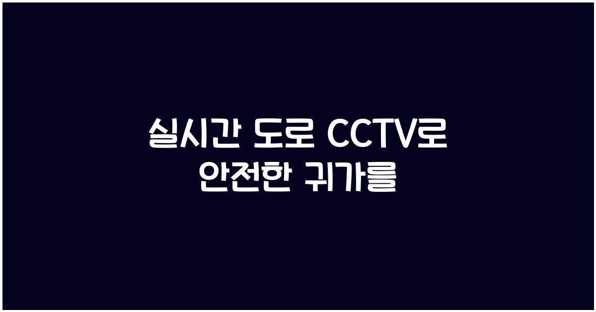 실시간 도로 cctv
