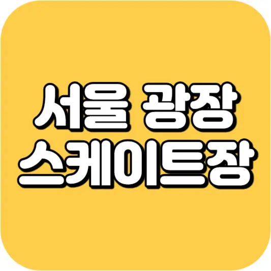 서울 광장 스케이트장