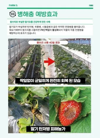 농사 병해충 예방법 진딧물 응애 노균병 탄저병 대처_25