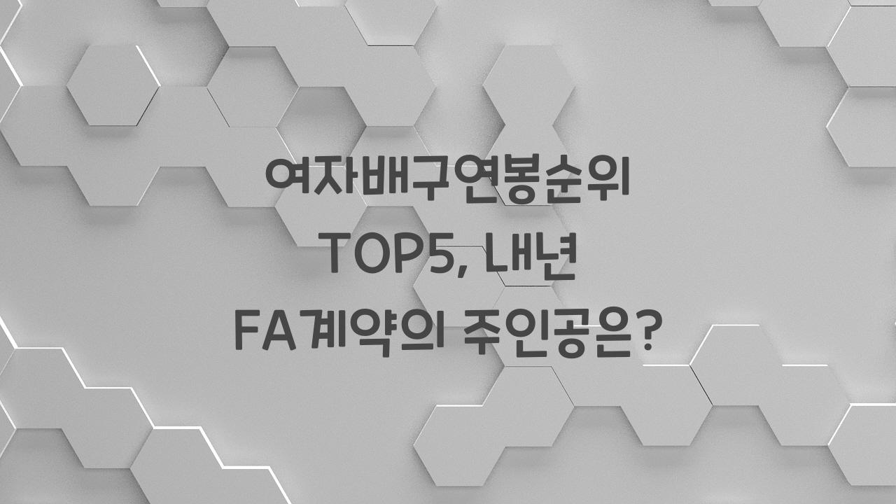 여자배구연봉순위