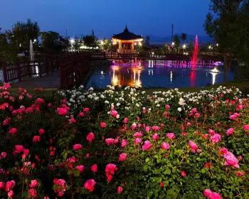 곡성 장미축제_35