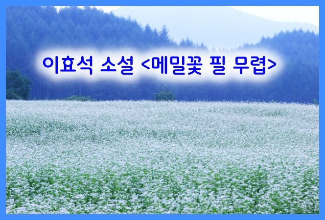 <메밀꽃 필 무렵> 섬네일 이미지