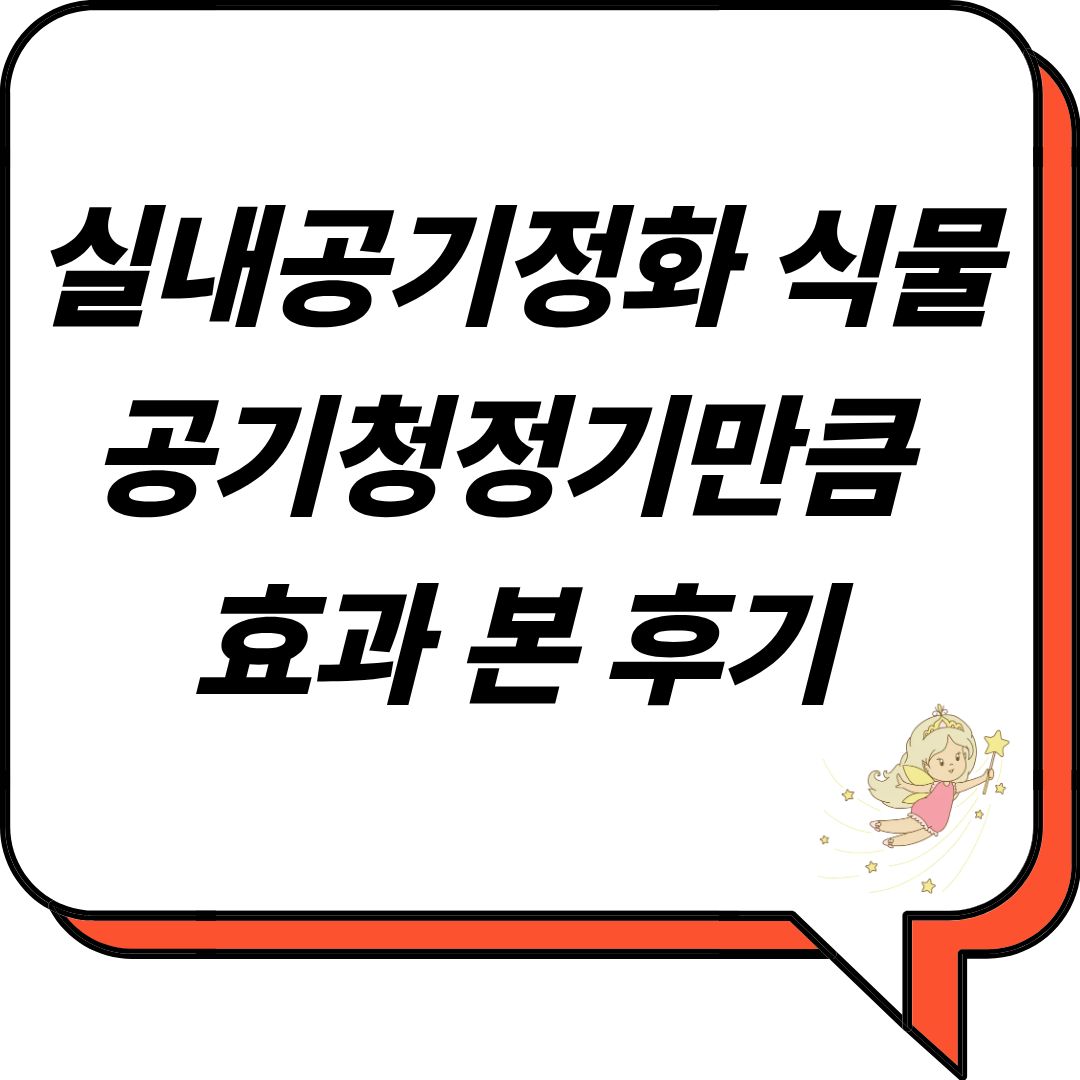 실내 공기정화 식물