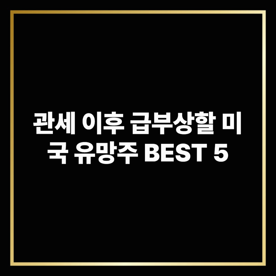 관세 이후 급부상할 미국 유망주 BEST 5