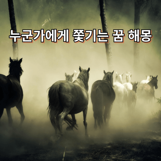 누군가에게 쫓기는 꿈 해몽 풀이