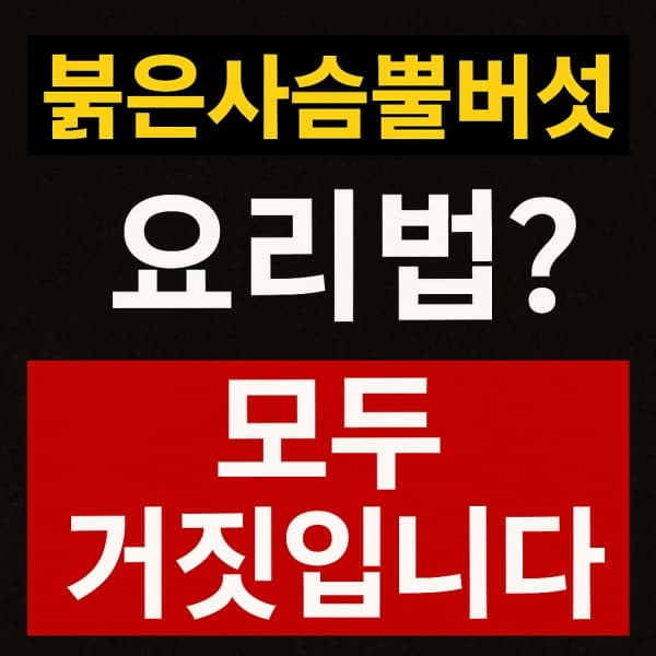 붉은사슴뿔버섯, 절대 먹지 마세요! – 항암 효능? 요리법? 모두 위험합니다