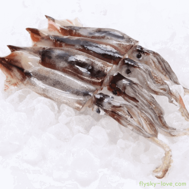 오징어 고르는 법