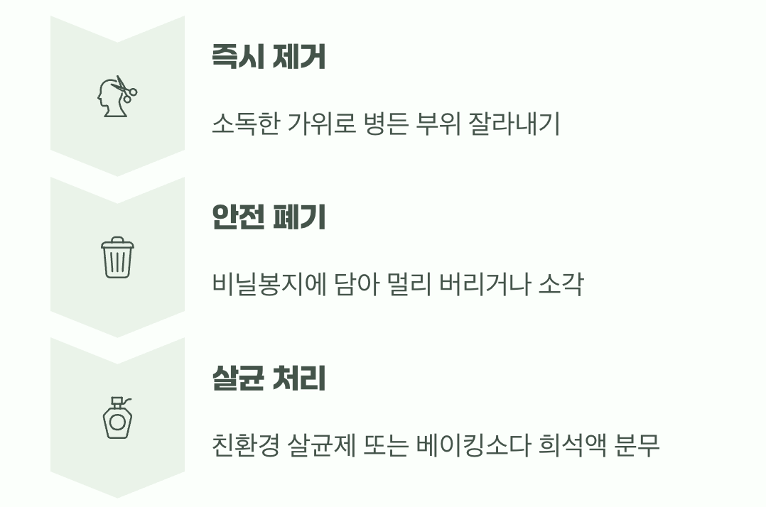 이미 병이 들었다면, 응급 처치법
