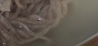 생활의 달인 황해도식 메밀냉면