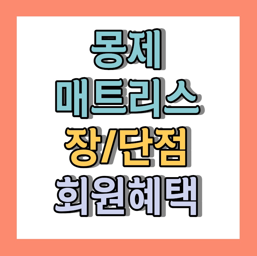 몽제매트리스 단점 < 딥슬립 회원혜택 >