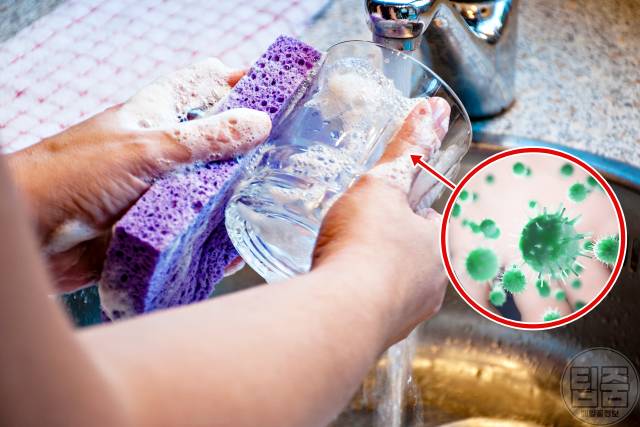 수세미 사용기간 수명