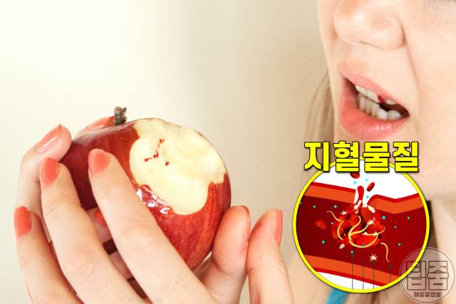 간이 안좋으면 나타나는 증상,양치할때 잇몸에 피,간경화 증상,간이안좋은증상,팁줌